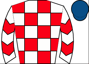 Horse silk
