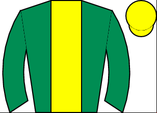 Horse silk