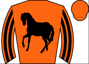 Horse silk