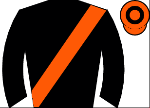 Horse silk