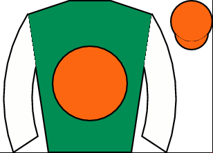 Horse silk