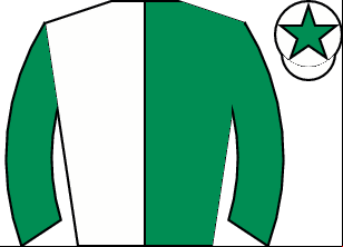 Horse silk