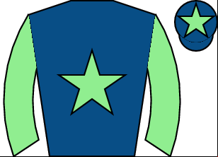 Horse silk