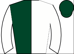 Horse silk