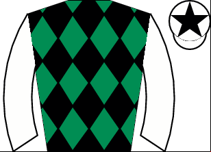 Horse silk