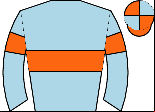 Horse silk