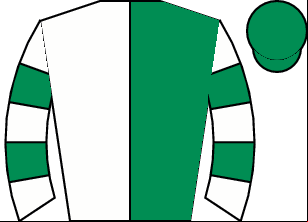 Horse silk