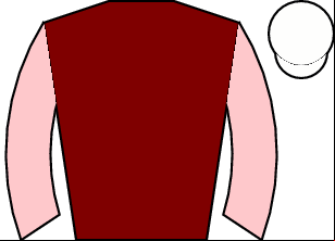Horse silk