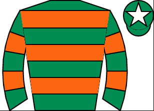 Horse silk