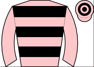 Horse silk