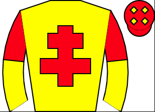Horse silk