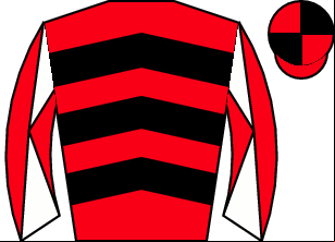 Horse silk