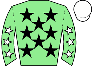 Horse silk
