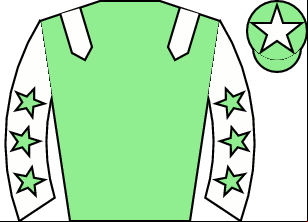 Horse silk