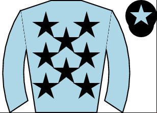 Horse silk