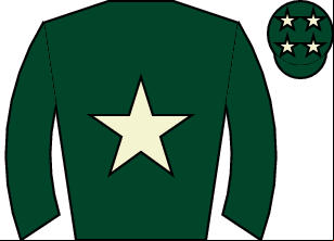 Horse silk