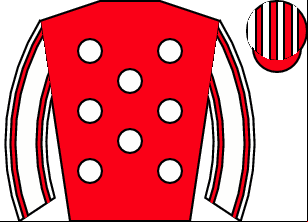 Horse silk