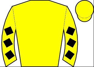 Horse silk