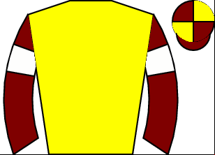 Horse silk