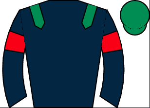 Horse silk