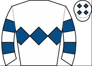 Horse silk