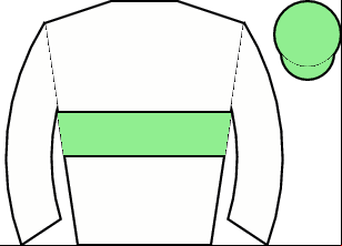Horse silk