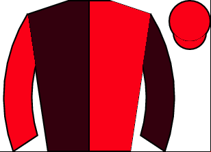 Horse silk