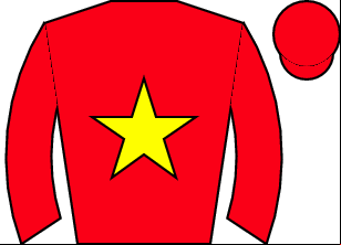 Horse silk