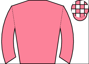 Horse silk