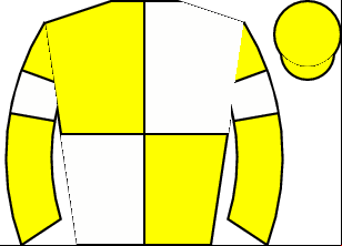 Horse silk