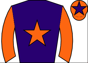 Horse silk