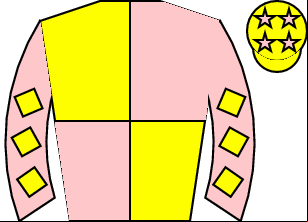 Horse silk
