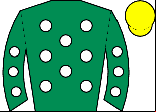 Horse silk