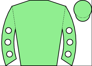 Horse silk