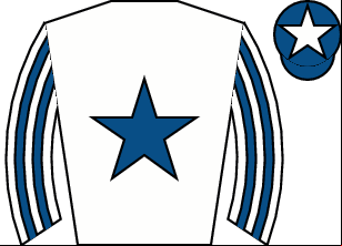 Horse silk