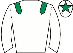 Horse silk