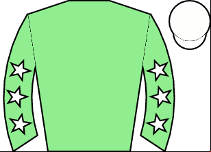 Horse silk