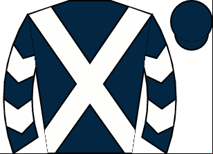 Horse silk