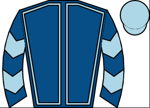 Horse silk