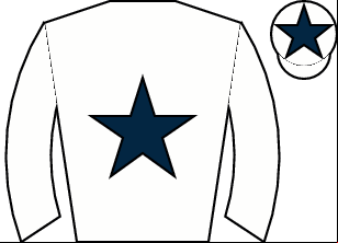 Horse silk