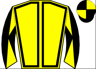 Horse silk