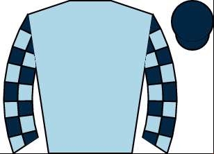 Horse silk