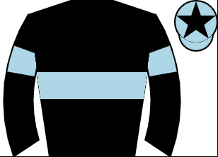 Horse silk