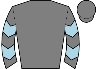Horse silk