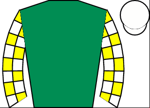 Horse silk