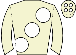 Horse silk