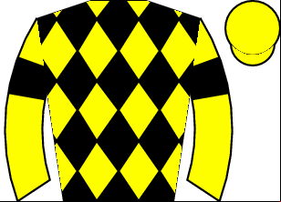 Horse silk