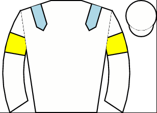 Horse silk