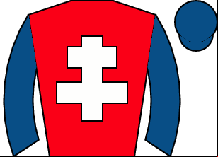 Horse silk