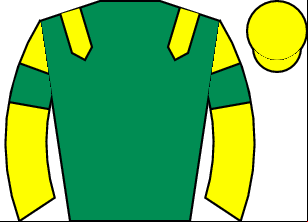 Horse silk